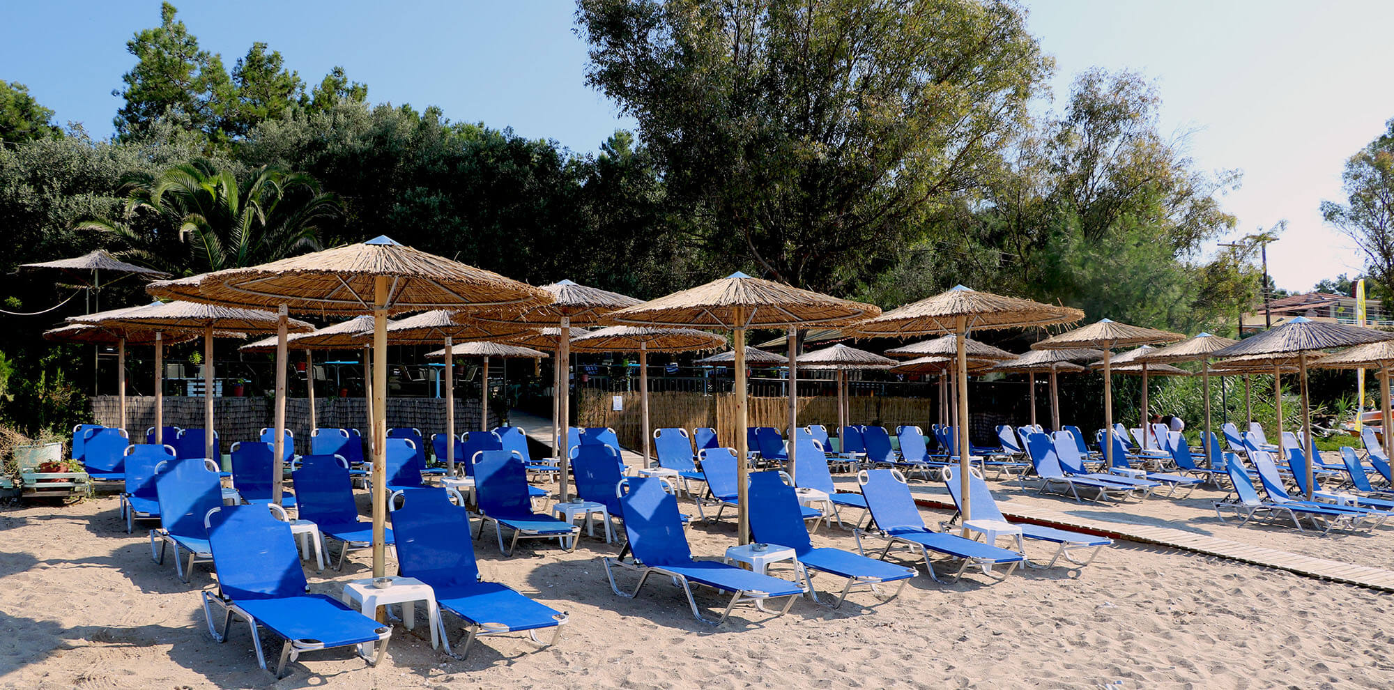 beachbar2500h